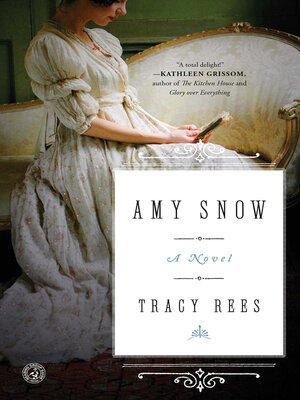 Amy Snow - ebook